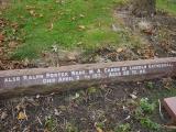 image of grave number 196256